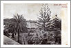 PUERTO DE LA CRUZ: HOTEL MARTIANEZ UND GARTEN, Foto: UNBEKANNT, Entstehungsjahr:  1910-1920, © FEDAC/CABILDO DE GRAN CANARIA