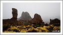 Fingers of god, Teide - © J.J. GUTIÉRREZ